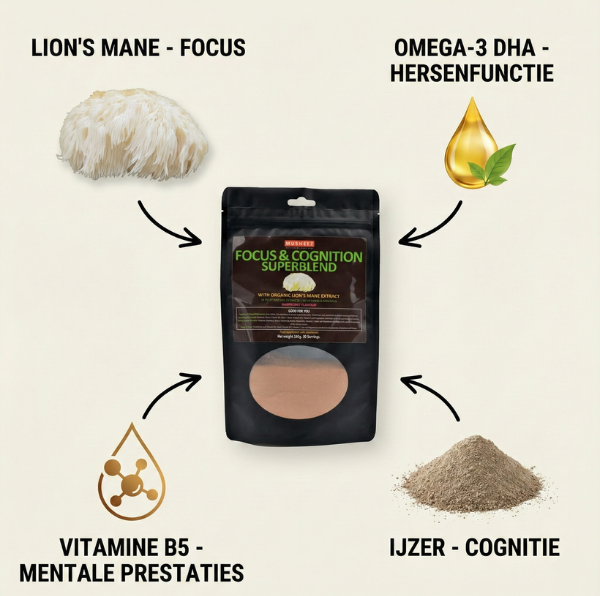 MUTE Focus & Cognition